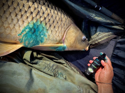 Турбота про трофеї: Огляд антисептика Global Fishing FISH MEDIC